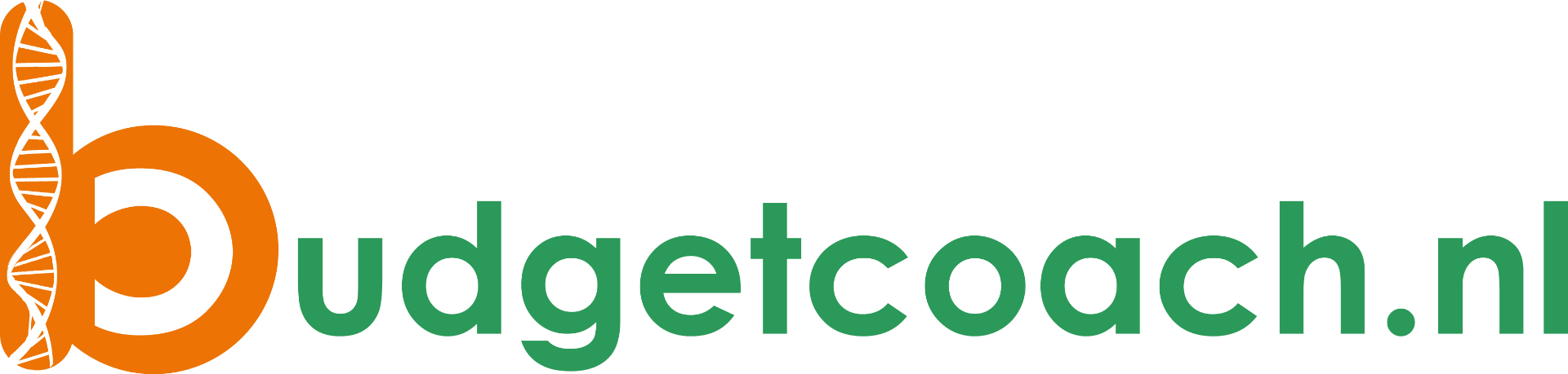 Logo-Budgetcoach.png